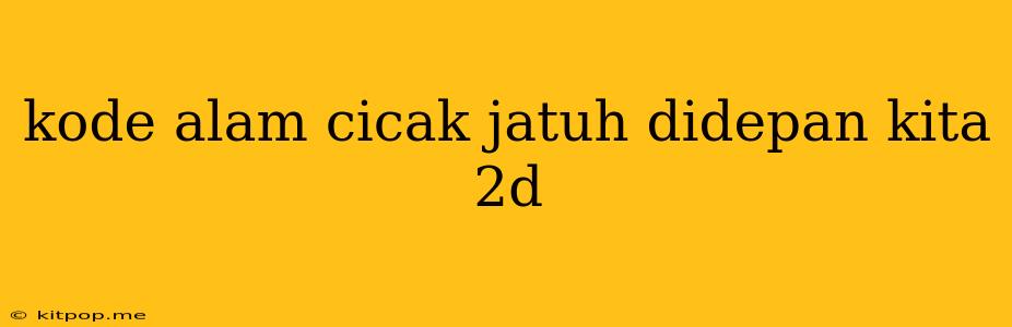 Kode Alam Cicak Jatuh Didepan Kita 2d