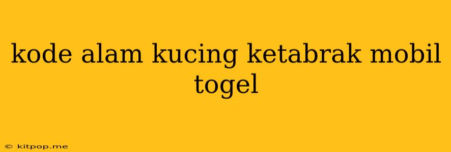 Kode Alam Kucing Ketabrak Mobil Togel