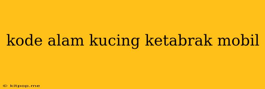 Kode Alam Kucing Ketabrak Mobil