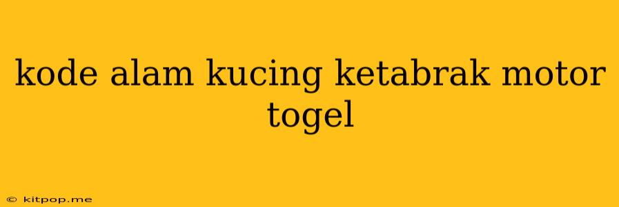 Kode Alam Kucing Ketabrak Motor Togel