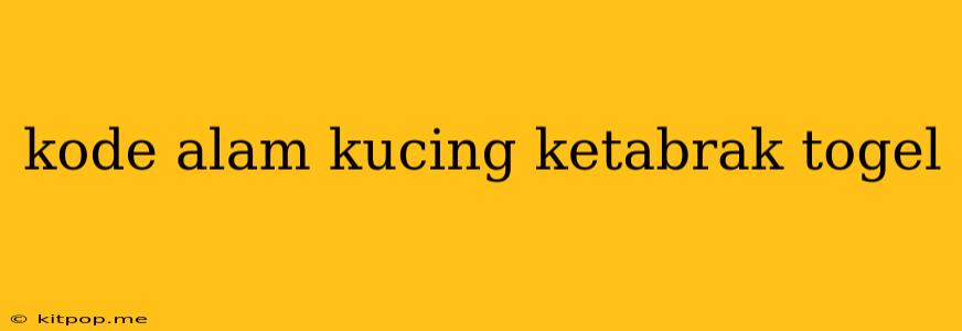 Kode Alam Kucing Ketabrak Togel