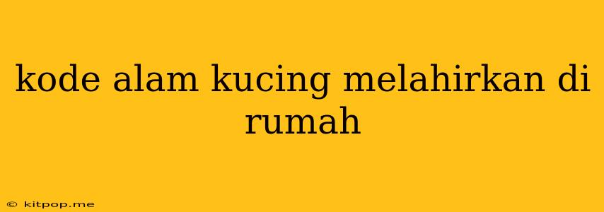 Kode Alam Kucing Melahirkan Di Rumah