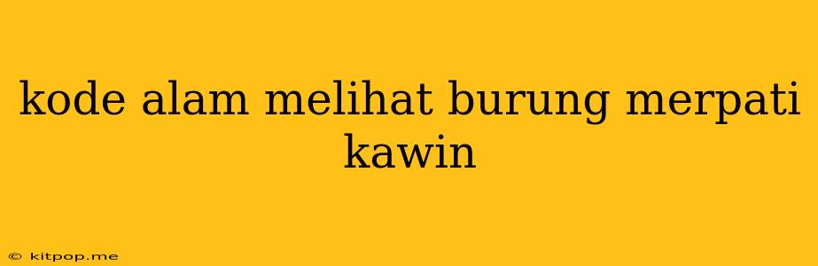 Kode Alam Melihat Burung Merpati Kawin