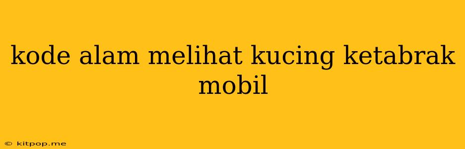 Kode Alam Melihat Kucing Ketabrak Mobil