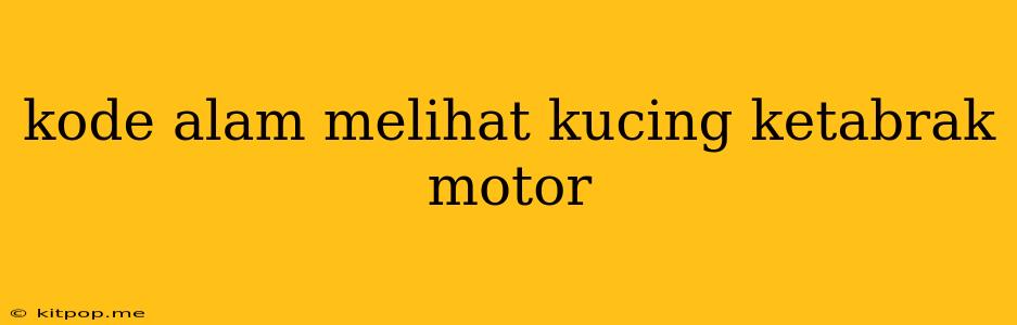 Kode Alam Melihat Kucing Ketabrak Motor