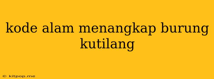 Kode Alam Menangkap Burung Kutilang