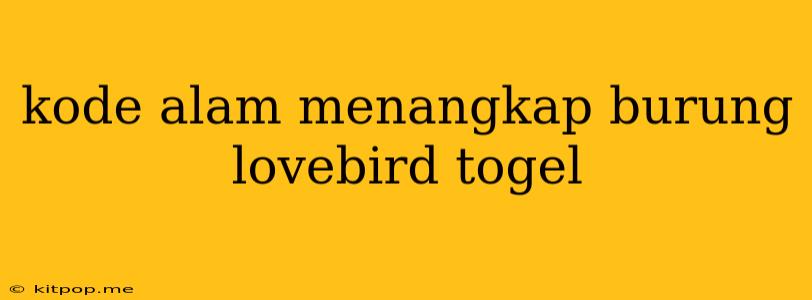 Kode Alam Menangkap Burung Lovebird Togel