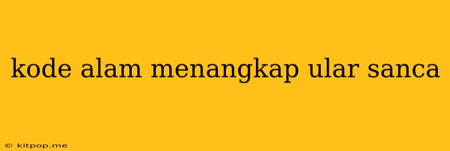 Kode Alam Menangkap Ular Sanca