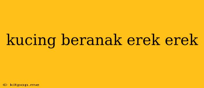 Kucing Beranak Erek Erek