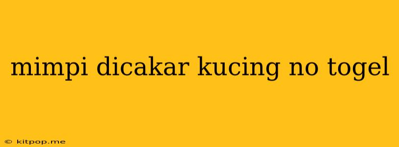 Mimpi Dicakar Kucing No Togel