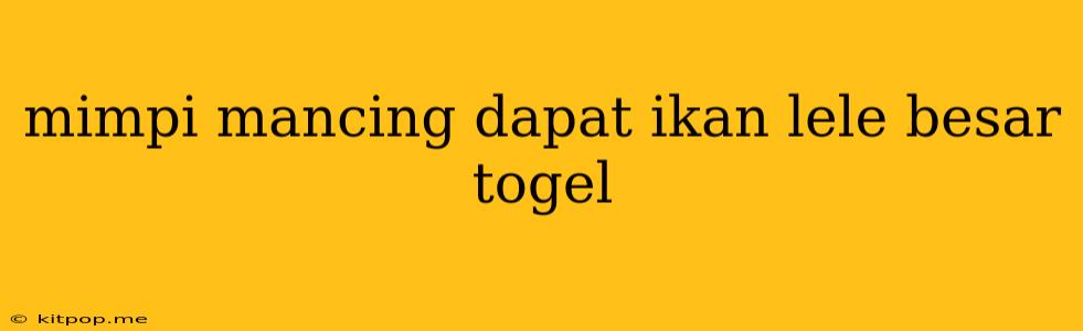 Mimpi Mancing Dapat Ikan Lele Besar Togel