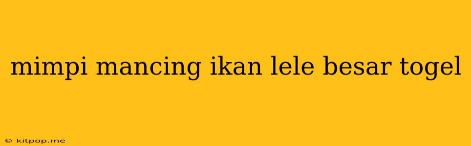 Mimpi Mancing Ikan Lele Besar Togel