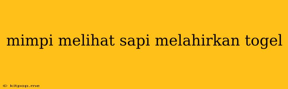 Mimpi Melihat Sapi Melahirkan Togel