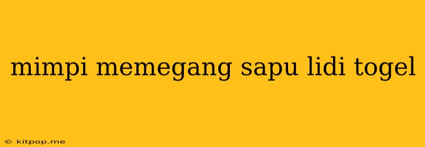 Mimpi Memegang Sapu Lidi Togel