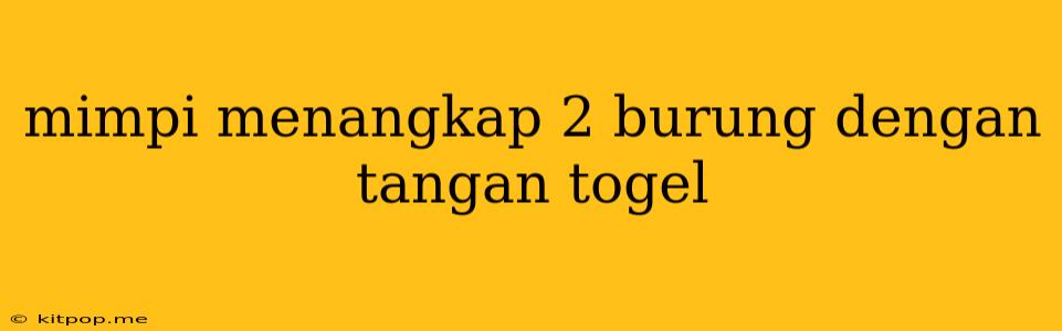 Mimpi Menangkap 2 Burung Dengan Tangan Togel