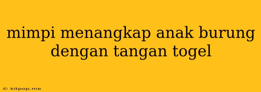 Mimpi Menangkap Anak Burung Dengan Tangan Togel