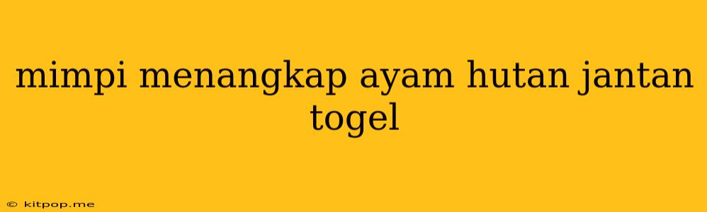 Mimpi Menangkap Ayam Hutan Jantan Togel