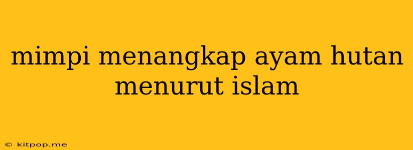 Mimpi Menangkap Ayam Hutan Menurut Islam