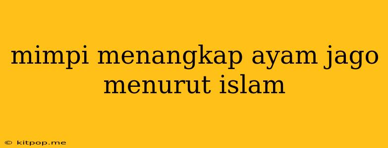 Mimpi Menangkap Ayam Jago Menurut Islam