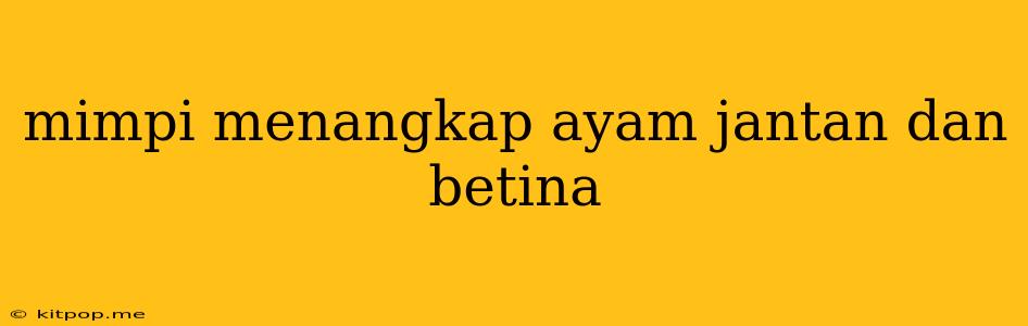 Mimpi Menangkap Ayam Jantan Dan Betina