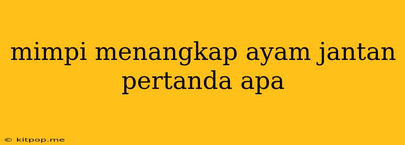 Mimpi Menangkap Ayam Jantan Pertanda Apa