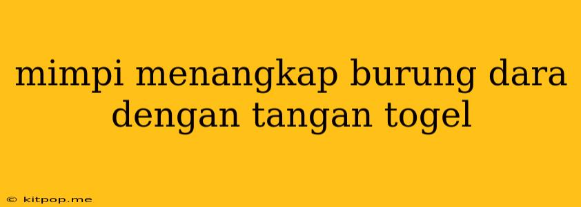 Mimpi Menangkap Burung Dara Dengan Tangan Togel