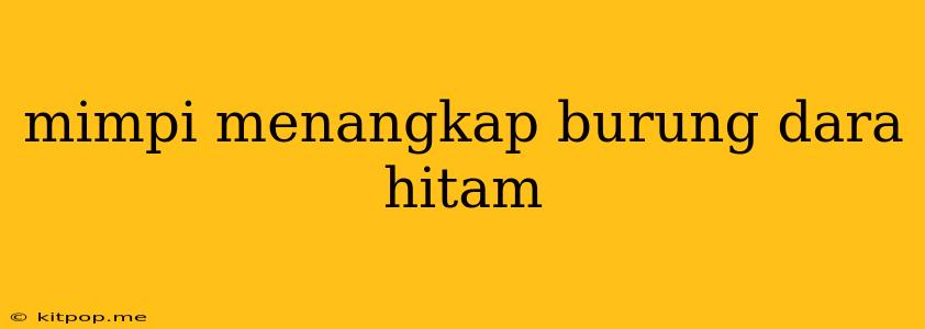 Mimpi Menangkap Burung Dara Hitam