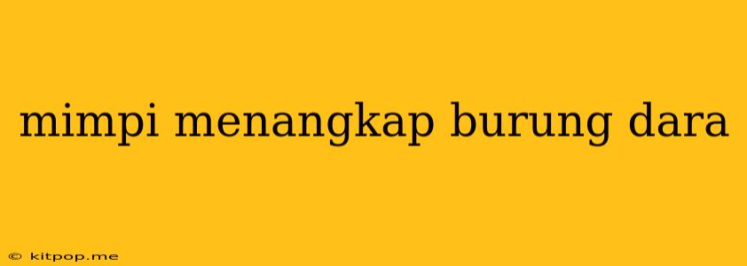 Mimpi Menangkap Burung Dara