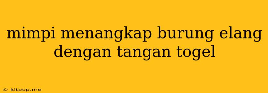 Mimpi Menangkap Burung Elang Dengan Tangan Togel