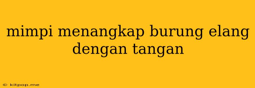 Mimpi Menangkap Burung Elang Dengan Tangan