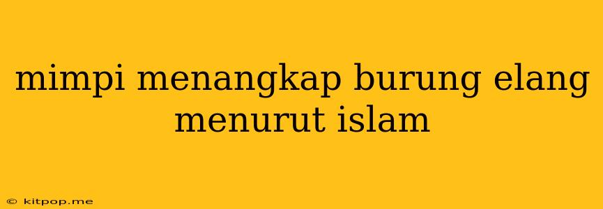 Mimpi Menangkap Burung Elang Menurut Islam