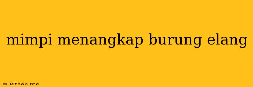 Mimpi Menangkap Burung Elang