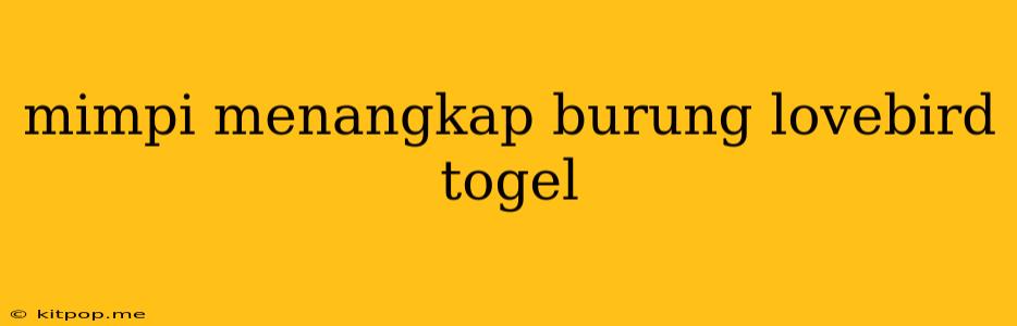 Mimpi Menangkap Burung Lovebird Togel