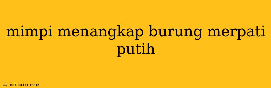 Mimpi Menangkap Burung Merpati Putih