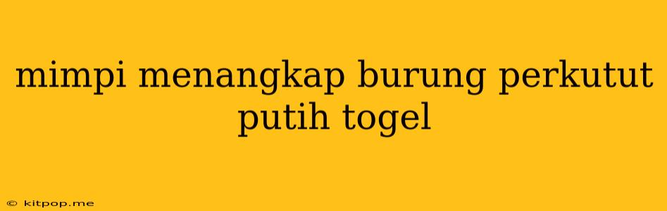 Mimpi Menangkap Burung Perkutut Putih Togel