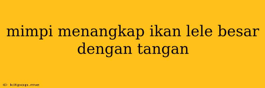 Mimpi Menangkap Ikan Lele Besar Dengan Tangan