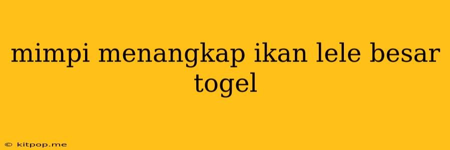 Mimpi Menangkap Ikan Lele Besar Togel