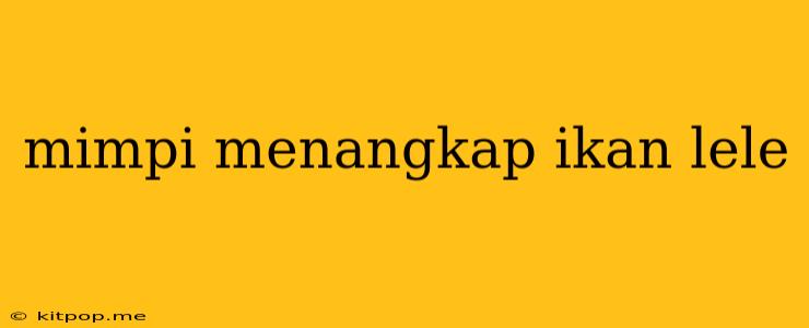 Mimpi Menangkap Ikan Lele