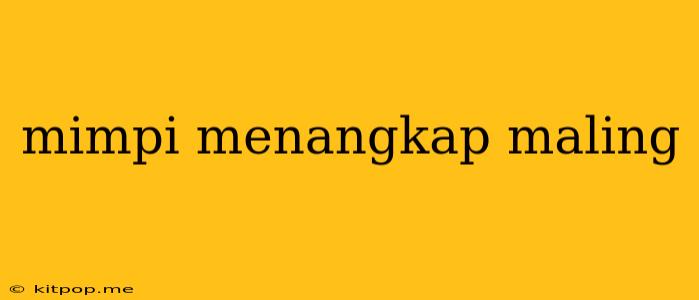 Mimpi Menangkap Maling