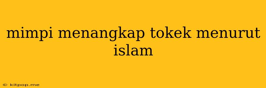 Mimpi Menangkap Tokek Menurut Islam