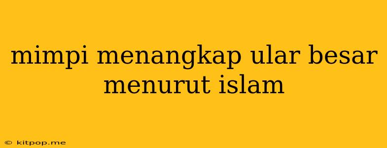 Mimpi Menangkap Ular Besar Menurut Islam