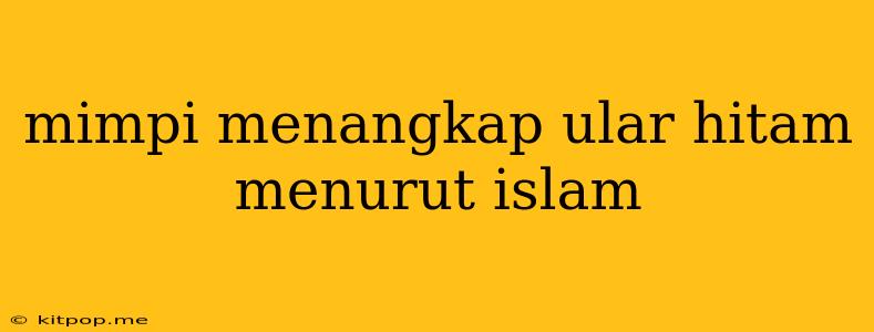 Mimpi Menangkap Ular Hitam Menurut Islam