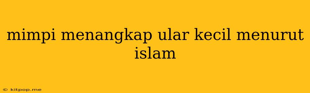 Mimpi Menangkap Ular Kecil Menurut Islam