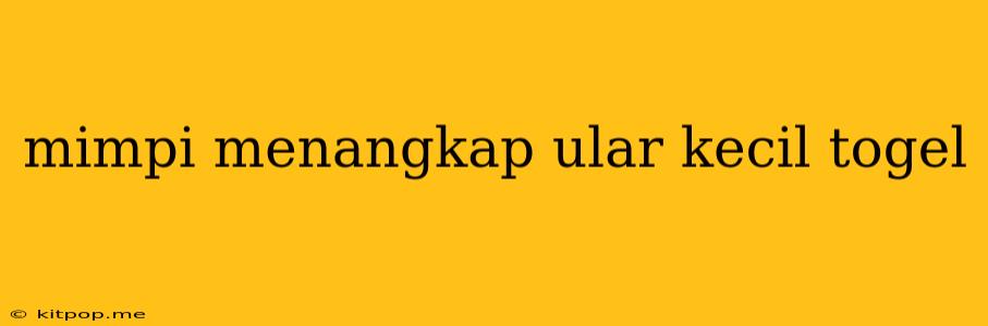 Mimpi Menangkap Ular Kecil Togel