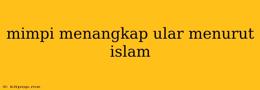 Mimpi Menangkap Ular Menurut Islam