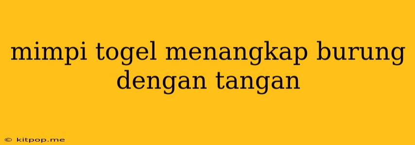 Mimpi Togel Menangkap Burung Dengan Tangan