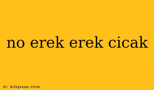 No Erek Erek Cicak