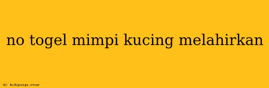 No Togel Mimpi Kucing Melahirkan