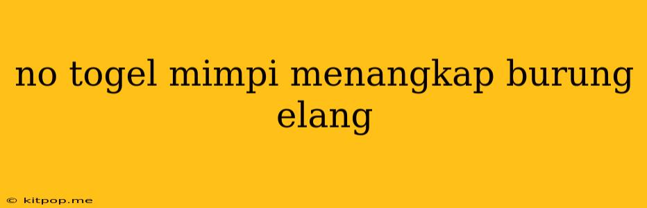 No Togel Mimpi Menangkap Burung Elang