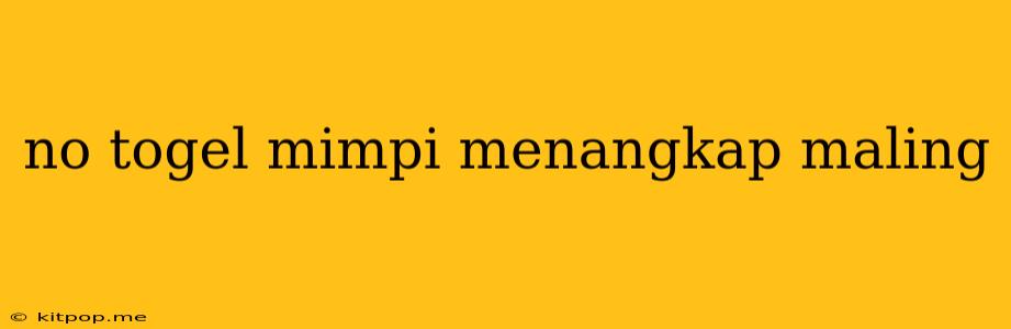 No Togel Mimpi Menangkap Maling